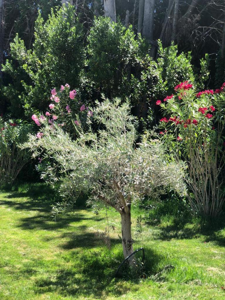 Villa Pauline Αβινιόν Εξωτερικό φωτογραφία